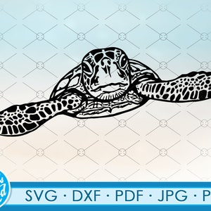Sea Turtle svg, seaturtle svg, ocean svg bestanden voor cricut. Svg, Png, dxf bestanden. Sea Turtle gesneden bestand clipart seaturtle Shirt svg, digitaal
