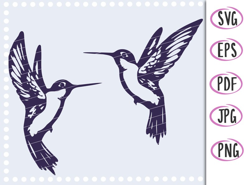 Hummingbird svg png, Hummingbirds svg, Humming Bird Cut File For Silhouette, Cricut Machines Svg, Jpg Png, Pdf, Eps image 3