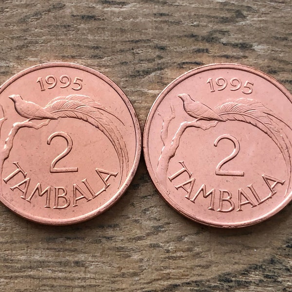 Paradise Whydah Bird Coin Set / 2 Tambala 1995 Malawi