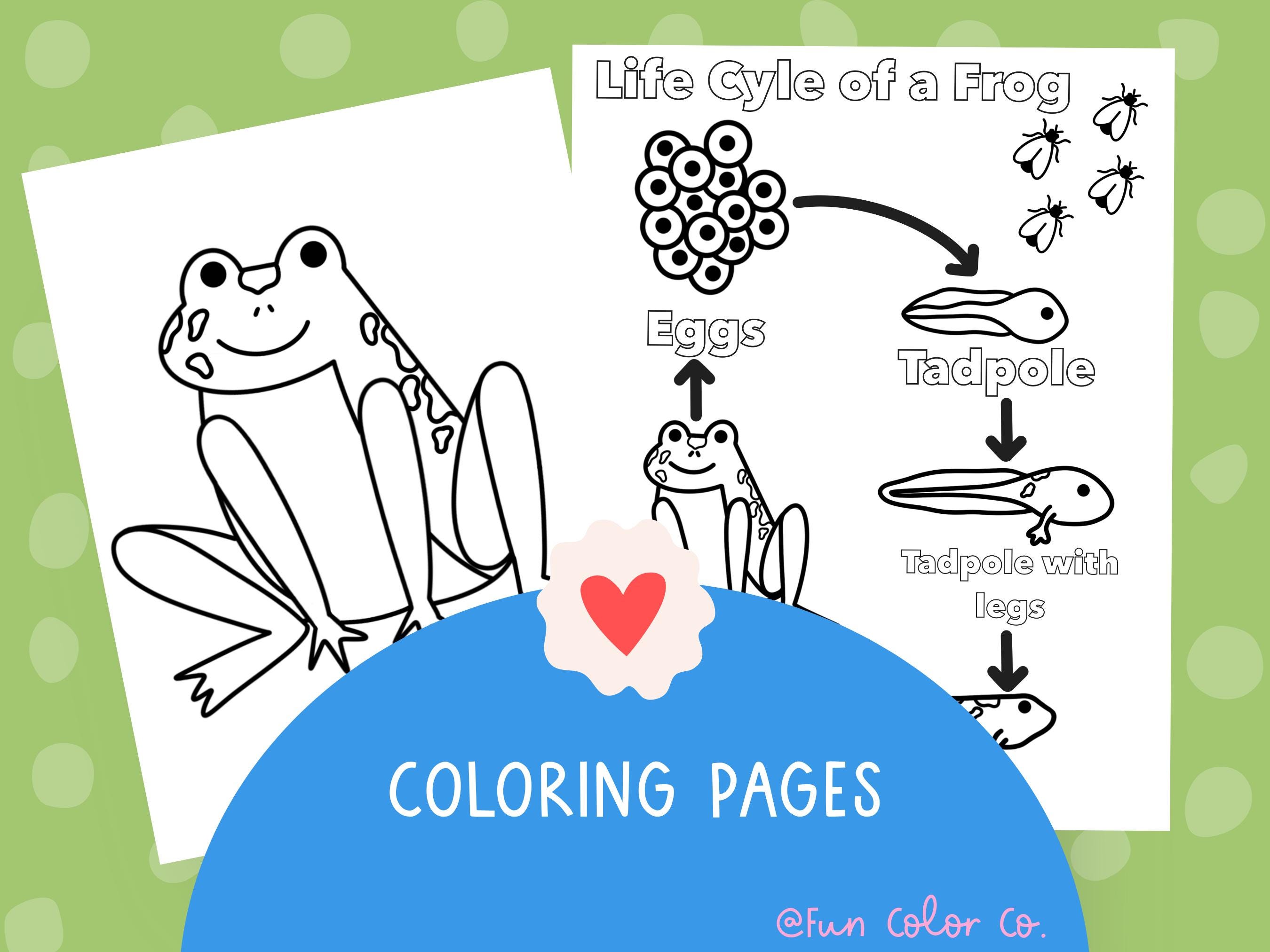 FROG Unit Study, Life Cycle, Anatomy, Nature Study, Science ...