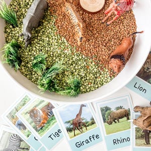 Preschool Activities - Printable -  Safari - Homeschool - Teacher Resources - Instant Download