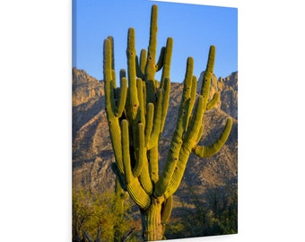 Saguaro Cactus Arizona Print on Canvas | Arizona  Photography | Desert Wall Art Home Decor| Tucson Arizona Print | Arizona wall art gift