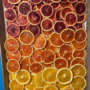 Top to bottom:
Blood Orange
Cara Orange
Navel Orange