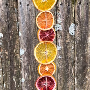 Orange Garland with (movable) citrus!