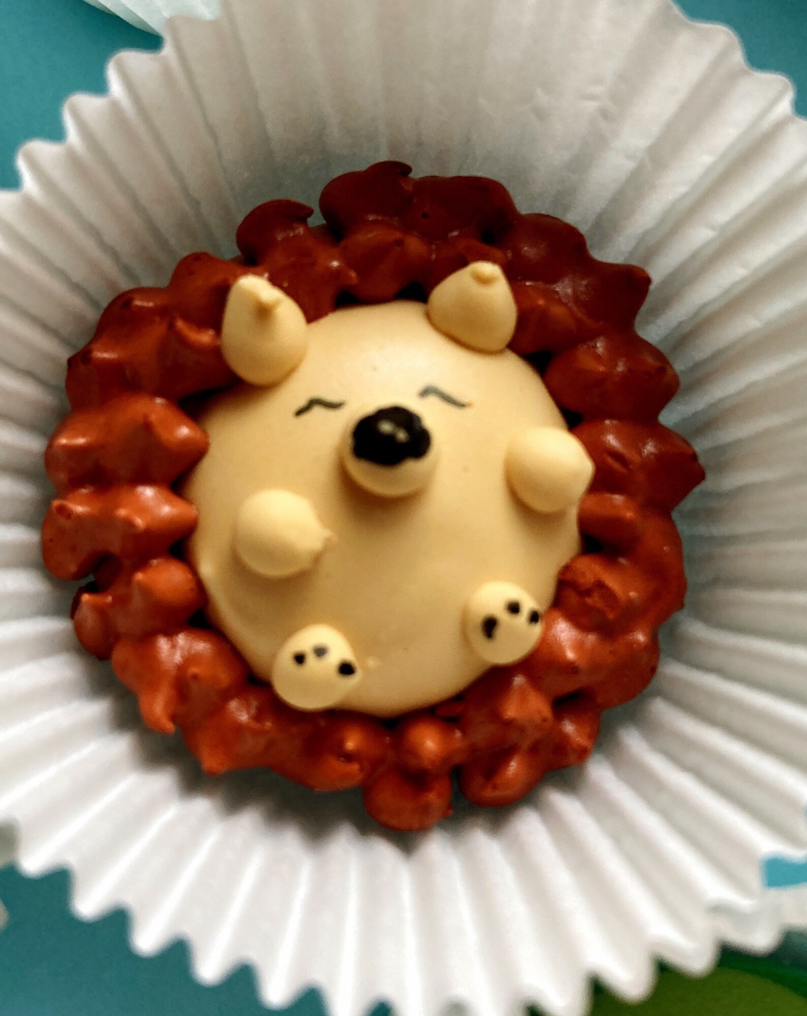 18 Floating Meringue Animals Hedgehog & Avocado Etsy