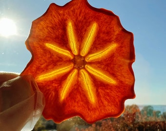 Persimmon - beautiful 'star' patterns! Fresh & Fast Shipping