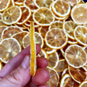 K&ouml;nnte beinhalten: Eine Hand h&auml;lt eine einzelne getrocknete Zitronenscheibe, vor einem Hintergrund aus vielen anderen getrockneten Zitronenscheiben.