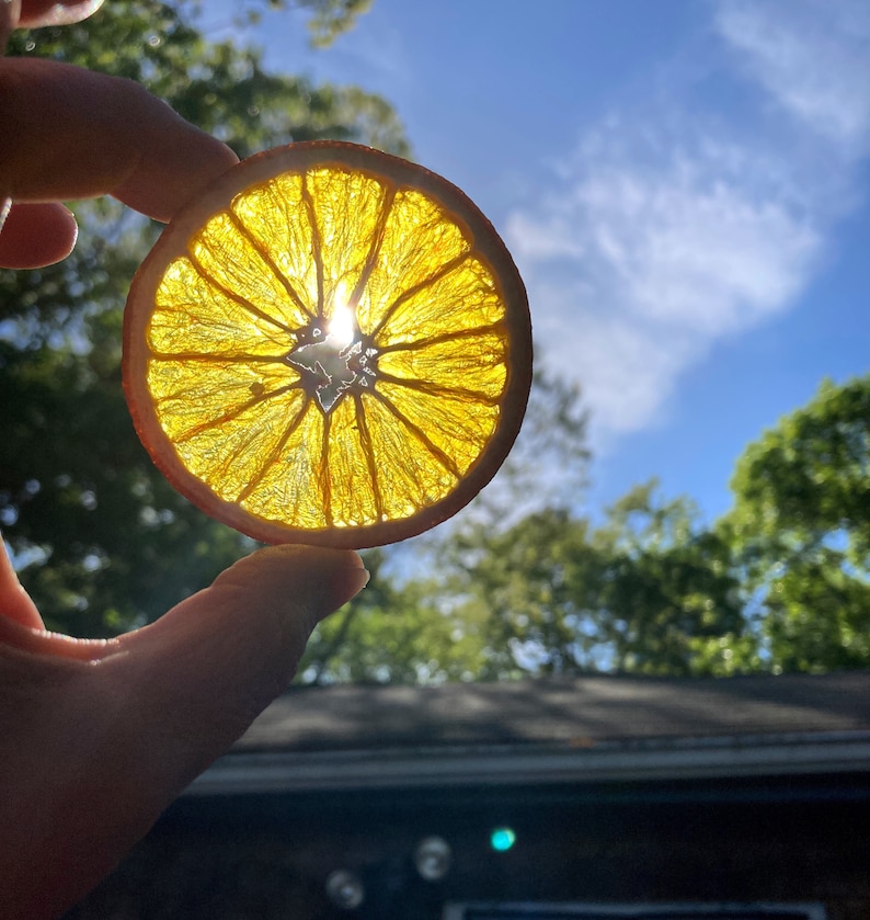 K&ouml;nnte beinhalten: Eine getrocknete Orangenscheibe, die gegen die Sonne gehalten wird, erzeugt einen leuchtend gelben Heiligenschein um die Frucht. Die Sonne scheint durch die Orangenscheibe und wirft ein helles Licht.