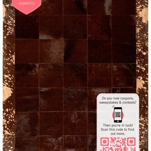 Bordered Cowhide Rug • Metallic Border