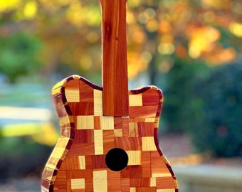 Guitar Birdhouse