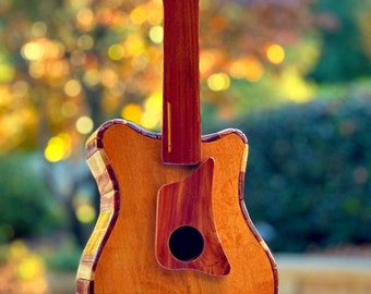 Guitar Birdhouse