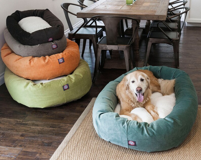 May include: A golden retriever dog relaxing in a teal-coloured dog bed. The bed is round and has a white fluffy inner cushion. The dog is looking directly at the camera with its tongue sticking out. There are four stacked dog beds in the background, in shades of brown, orange, and green.