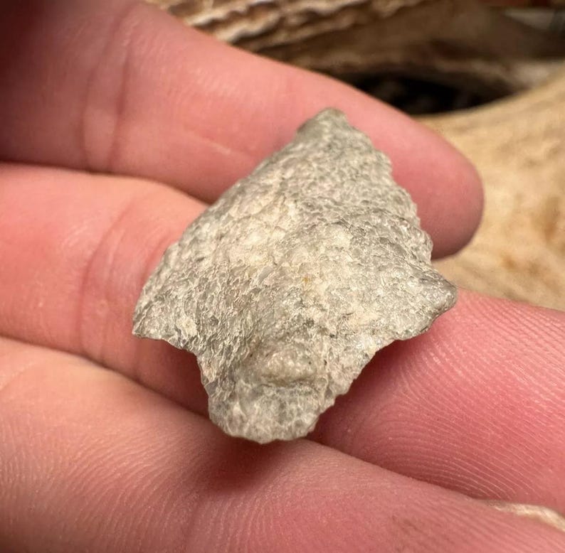 Archaic Period Morrow Mountain Quartzite Found in Nelson Co. Virginia