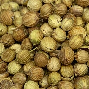 Coriander, Sourced from Jordan, Various Sizes Available