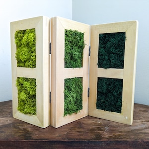 3 Panel Wood-Framed Preserved Moss Variety Art, Wall Decor Greenery