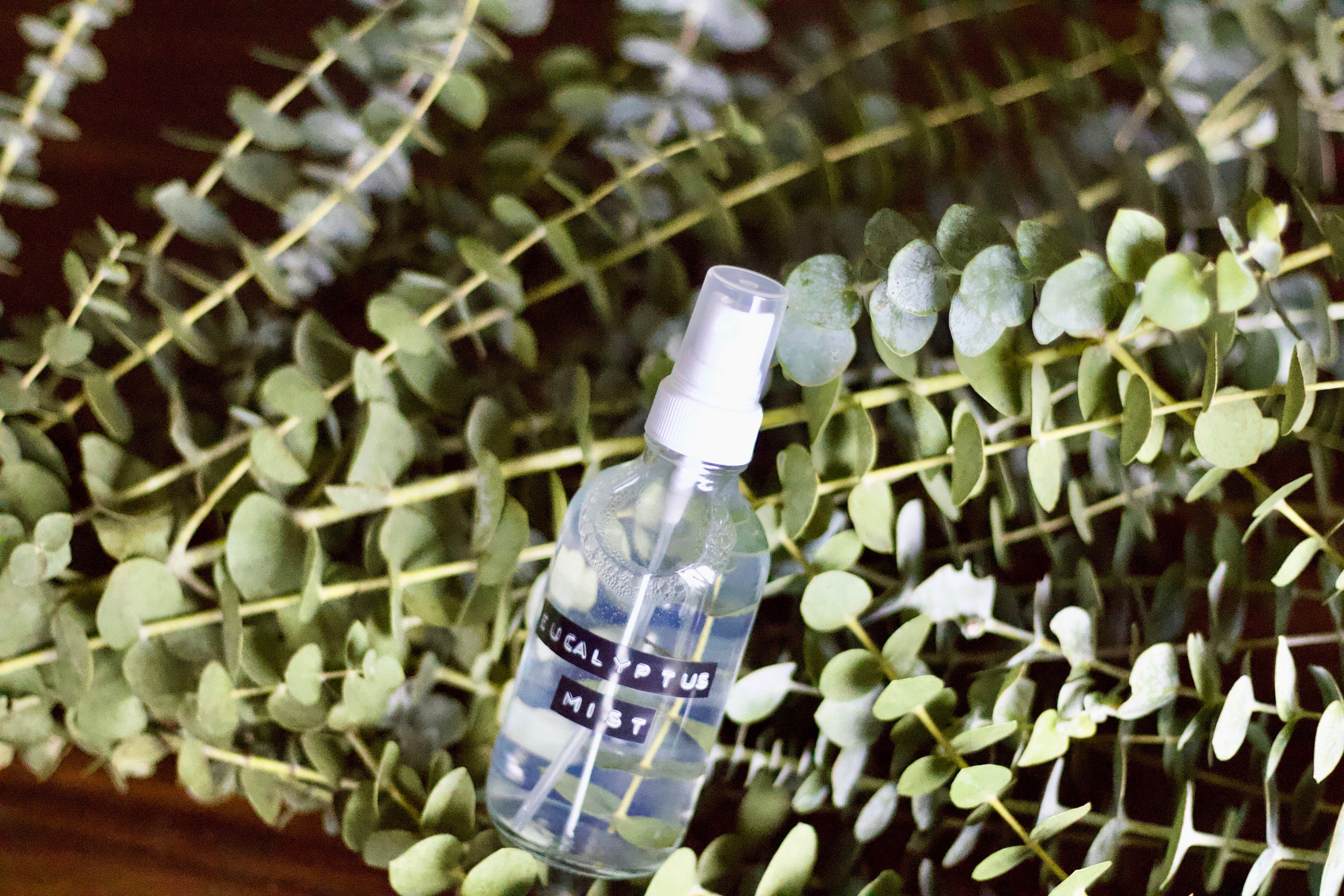 Eucalyptus Mist Natural Room/Body Spray Essential Oils Etsy