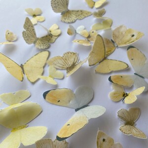 Puede incluir: Una colección de mariposas de papel amarillas y blancas con detalles intrincados. Las mariposas están esparcidas sobre un fondo blanco.