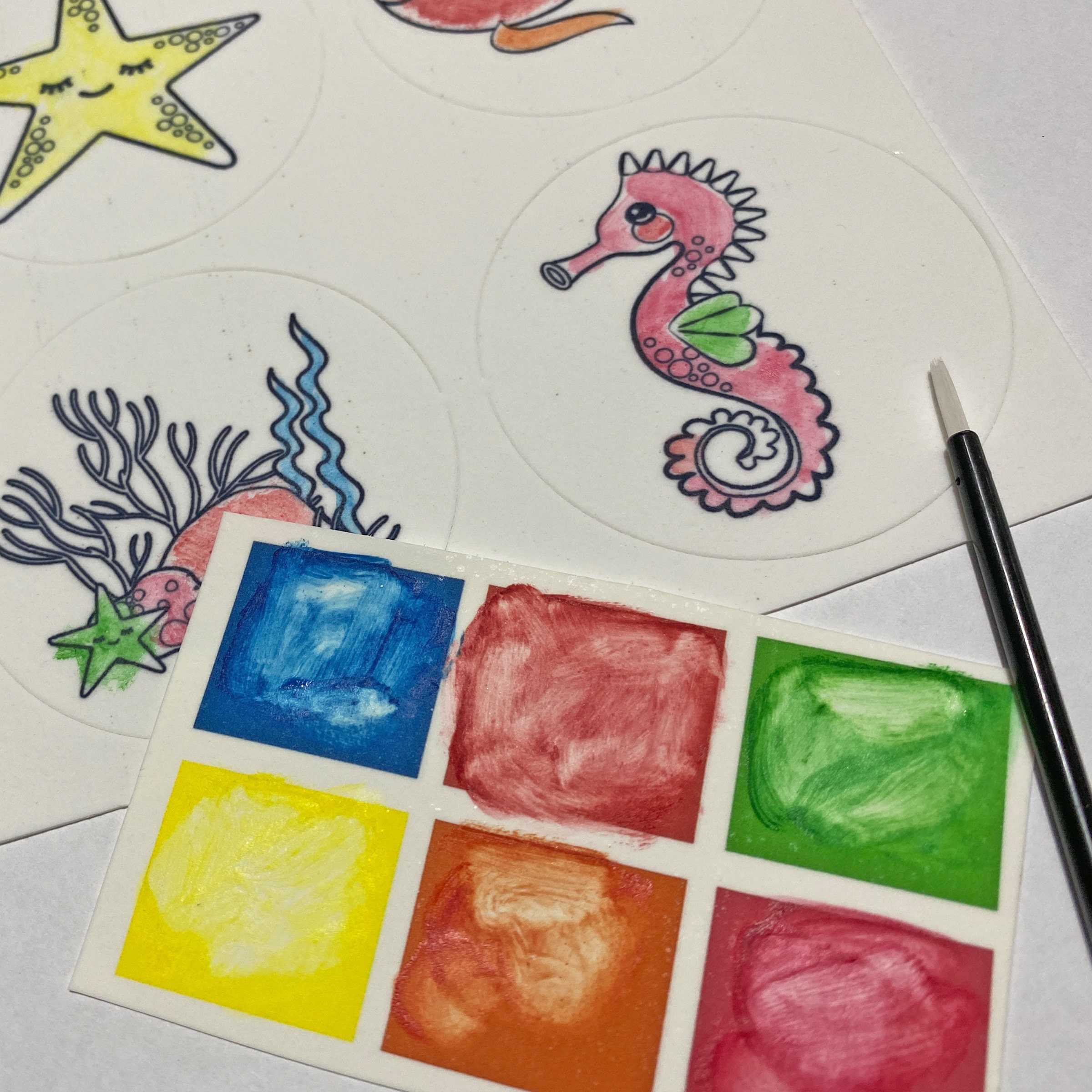 Paint Your Own PYO Edible Paint Palettes for Cookies or Etsy Australia