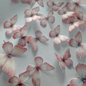 Pink Pre-cut Edible Wafer Butterflies