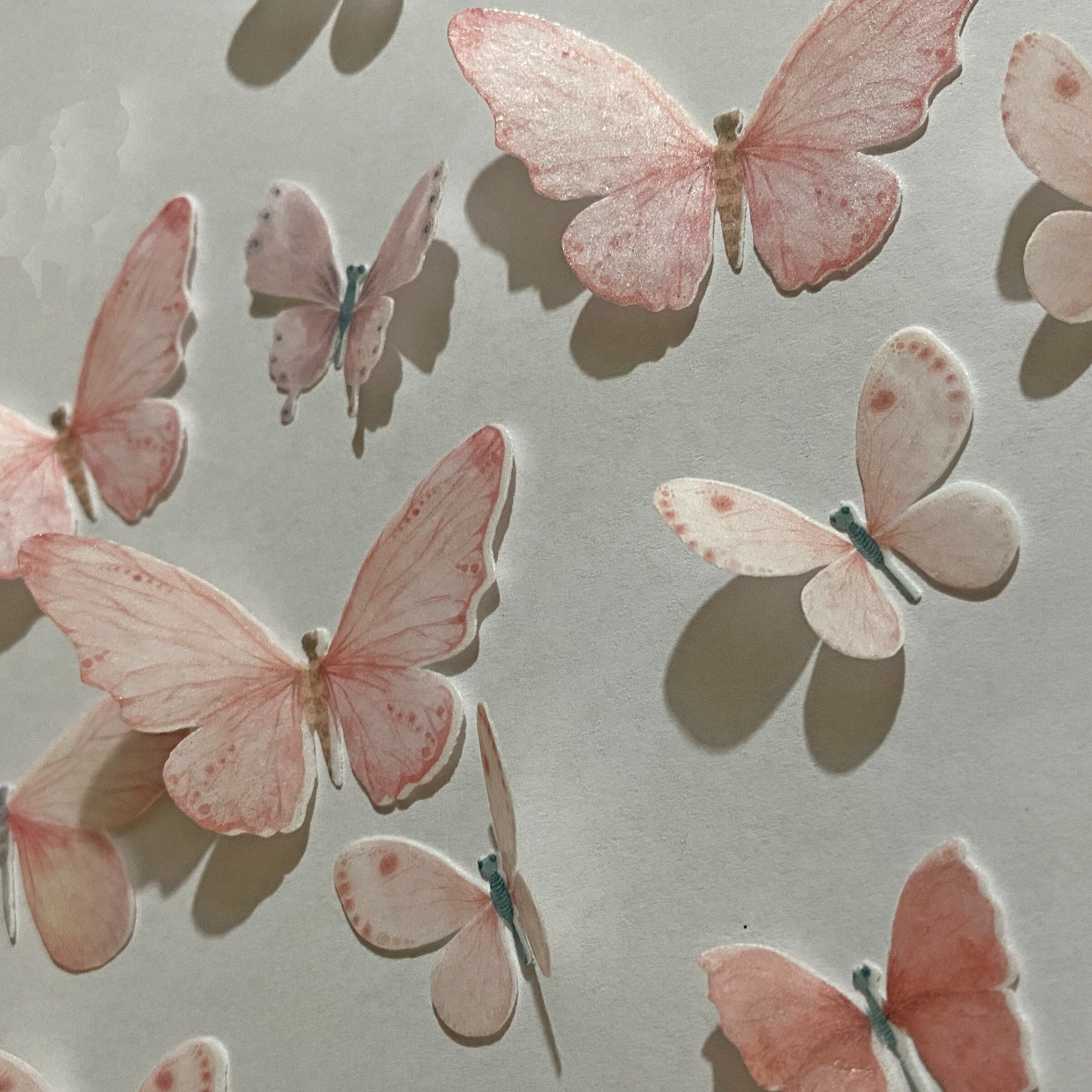 Mariposas de papel de oblea comestible precortadas rosas -  España