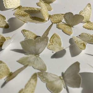 Tan & Gold Pre-cut Edible Wafer Butterflies