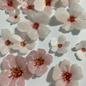 食べられるウエハース カット済み桜の花