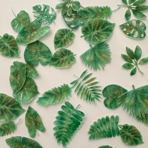 Pre-cut Edible Wafer Jungle Leaves Ferns Greenery