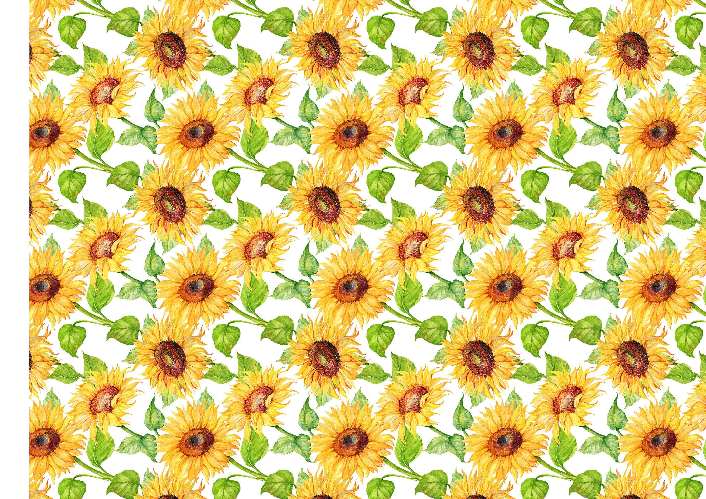 Sunflower Edible Icing Image Cake Wrap Topper Etsy Australia