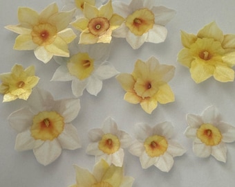 Papel de oblea comestible precortado con flores de narciso amarillo