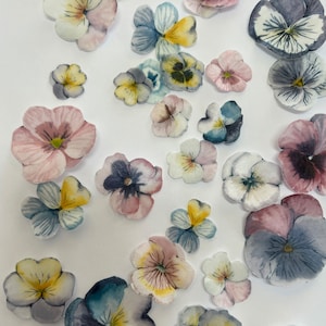 Pretagliati commestibili Wafer Pansé Pansé Fiori