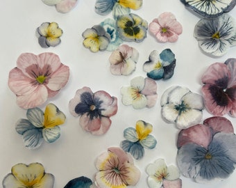 May include: A collection of watercolor-style pansy flower stickers in various sizes. The flowers feature soft hues of pink, yellow, blue, and purple, with detailed petal designs. The stickers are arranged on a white background.