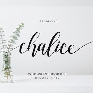 May include: Introducing Chalice, an elegant calligraphy font by Dynasty Fonts. The font name is written in a flowing script style with a decorative flourish.