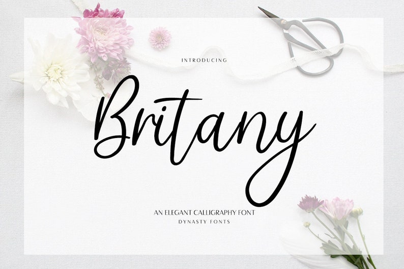Britany Script Font: Modern Calligraphy Wedding Font (digital Download ...