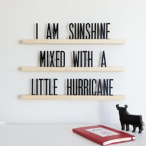 Cool Letter Shaped Shelves - Hative