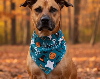 May include: A tan dog wearing a teal bandana featuring a Halloween pattern of white ghosts, orange pumpkins, black witch hats, skulls, and spiderwebs with the text Boo! printed in white. The dog sits among several carved orange jack-o'-lanterns.