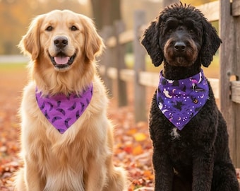 May include: A golden retriever and a black curly-haired dog sitting side by side. The golden retriever wears a purple bandana with a black bat pattern, while the black dog wears a purple bandana featuring a Halloween print with ghosts and pumpkins.