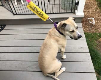 nervous dog harness