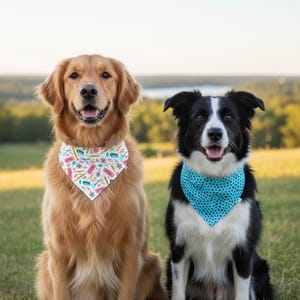 May include: A golden retriever wearing a white bandana with a colorful school supply pattern and a black and white border collie wearing a bright blue bandana with a small black polka dot pattern, both sitting side by side in an outdoor setting.