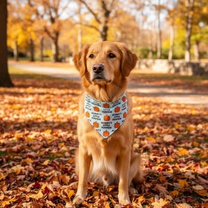 May include: A light blue triangular pet bandana featuring a repeating pattern of orange pumpkins and the black text Mommy's Little Pumpkin. The bandana is worn around the neck of a golden-colored dog with long fur, sitting upright.