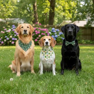 St. Patrick's Day Dog Bandana: Touch of Luck Reversible Scarf, Bow Tie (Green Pattern), Snap On, Tie On, or Collar Style Bandana