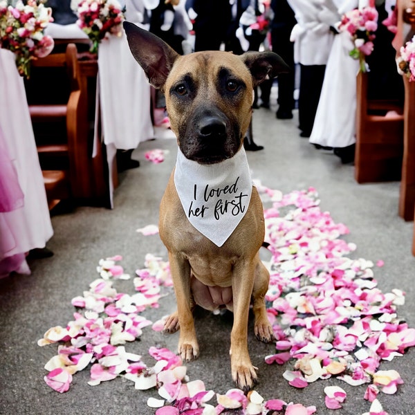 I Loved Her First Dog Bandana •  Wedding Puppy Bandanna • White Dog Bandana • Choose Your Style - Snap On, Collar (Slip-On), or Tie On