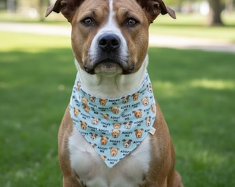 Reversible Dog Adoption Bandana: Pit Bull Rescue Pet Scarf, Bandanna for Pittie Foster Dog, Snap On or Over-the-Collar Style