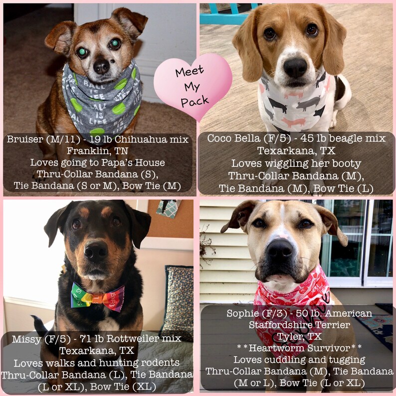 RBG Tribute Dog Bandana and Face Mask Single Layer Tie On Etsy