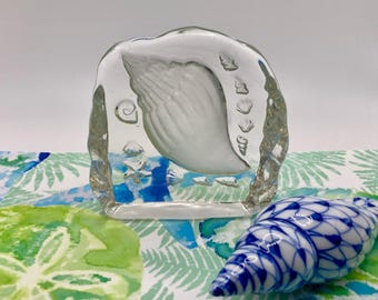 3D Crystal Seashell Paperweight: Frosted Embossed Beach Decor