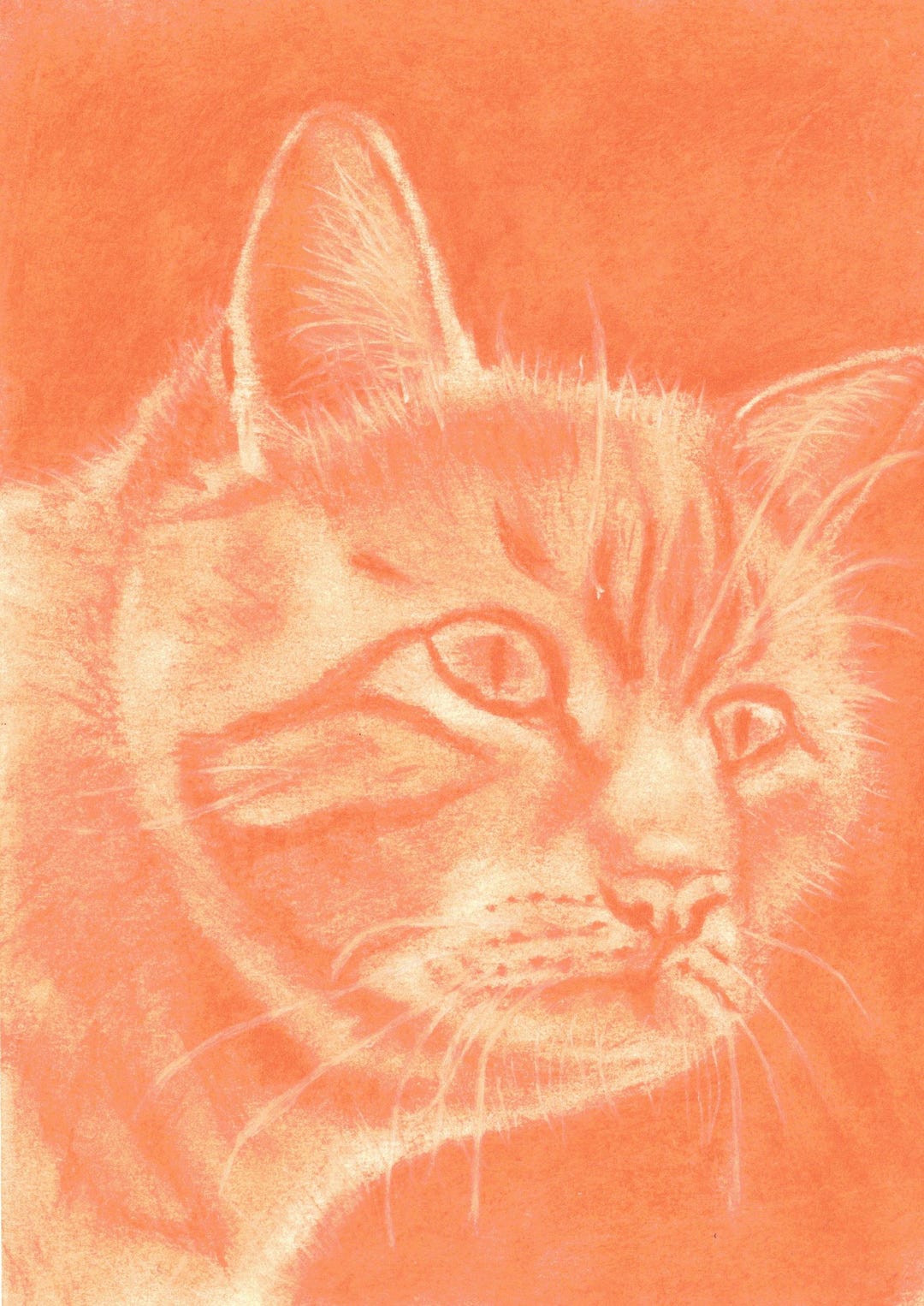 Ginger Cat Portrait, an Original Coloured Illustration - Etsy UK