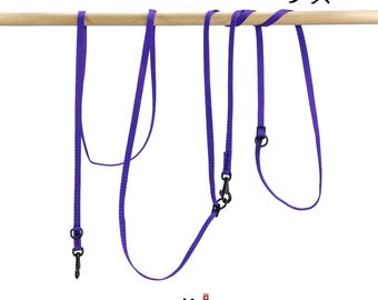 Laisse réglable MeggyTrails pour chat | Laisse légère de 1,5 m à 3 m pour chats et chiens de grande taille
