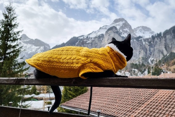 PULL polaire chaud pour chat, sweat à capuche pour chat polaire