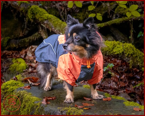 Dog rain jacket outlet