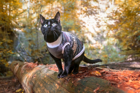 Lindo chaleco WARM CAT suéter de gato suéter gato de lana - Etsy España