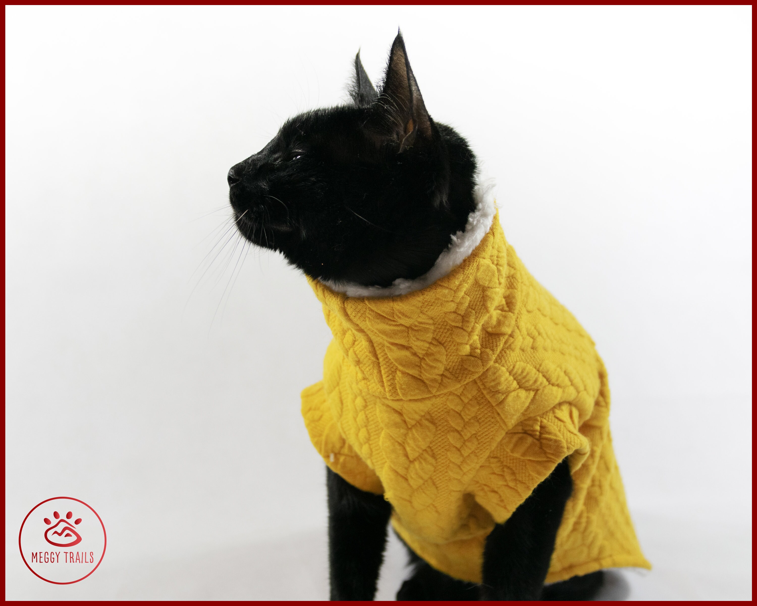 Warm cat sweater cable knit cat sweater Teddy fleece cat Etsy